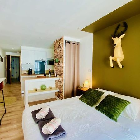L'Escapade Forestiere - Coeur De Ville Avec Terrasse Nîmes Eksteriør billede